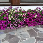 Haus Waldesruh Neustift im Stubaital