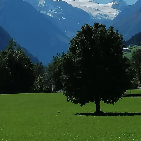 Haus Waldesruh アパート *