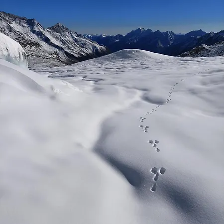 Haus Waldesruh アパート ノイシュティフト・イム・シュトゥーバイタール