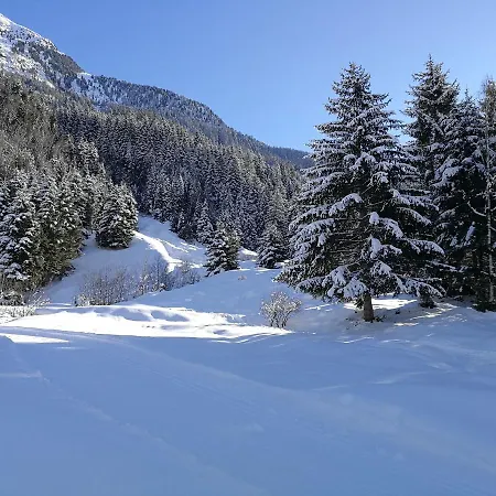 Haus Waldesruh Appartamento *
