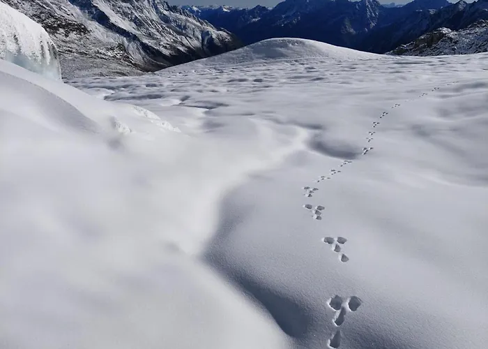 Haus Waldesruh شقة نيوستيف ام ستوبيتا