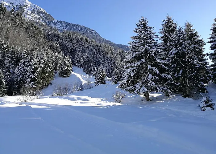 Haus Waldesruh شقة *