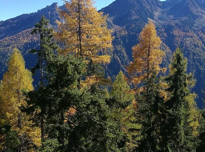 Haus Waldesruh شقة *