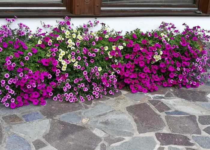 Haus Waldesruh نيوستيف ام ستوبيتا