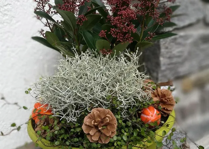 Haus Waldesruh شقة