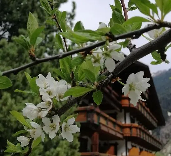 شقة Haus Waldesruh