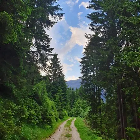 Haus Waldesruh דירה