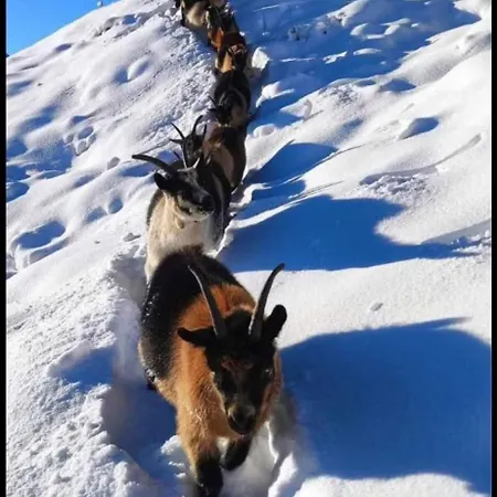 Haus Waldesruh דירה ניוסטיפט אים סטובאיטל