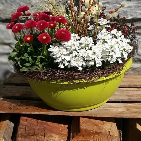 דירה Haus Waldesruh