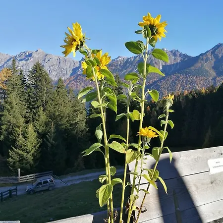 Apartment Haus Waldesruh Neustift im Stubaital