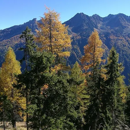 Haus Waldesruh דירה *