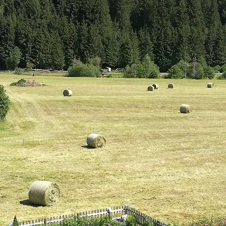 Haus Waldesruh דירה *