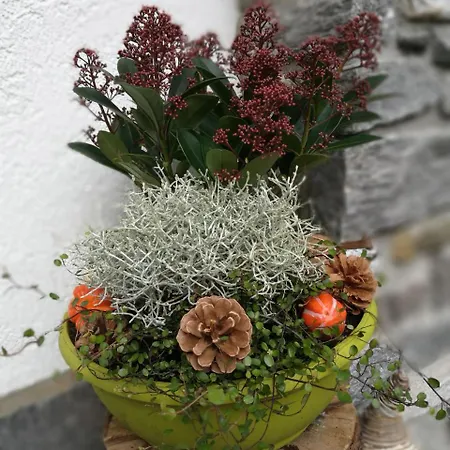 Haus Waldesruh דירה