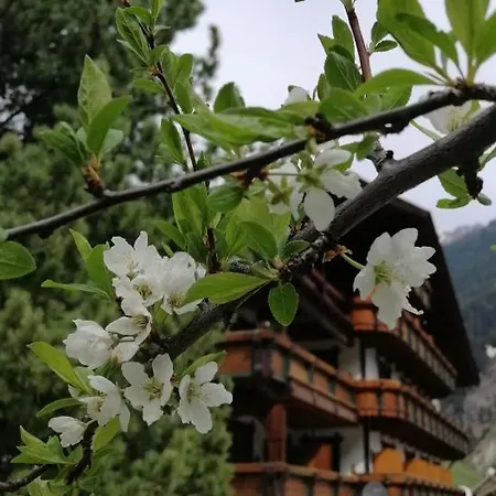 דירה Haus Waldesruh